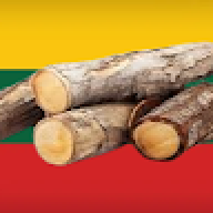 LietuviskaMedie