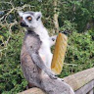 olliecrouch1