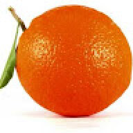 CeksSeks