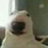 dsadads