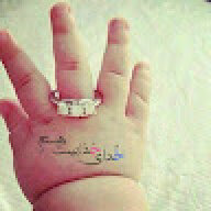 ali12345678