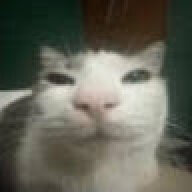 qyoto
