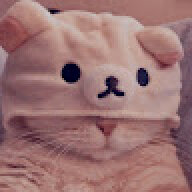 Diddyohiobludde