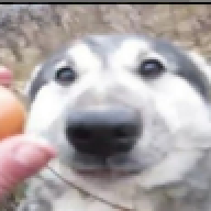 m1cr0wav3