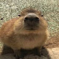 capybarafl