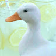 eobnk1y