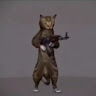 kigjgjgj