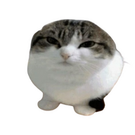 zbombionycwel