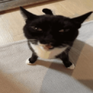 BoofDaniOS