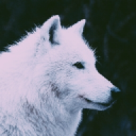 xXSnowXx