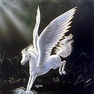 pegasus