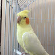 aliloly23