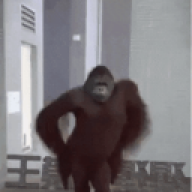 felpzj