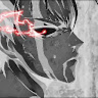 floper113