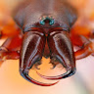 asdadad1212123