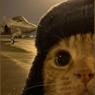 Rauu