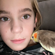 pluton_dp