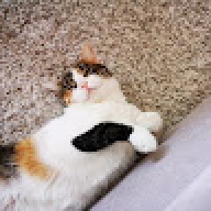 rarsyshs