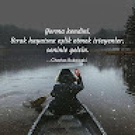 alimiz124