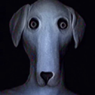 qndrxkqc