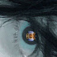 undarium