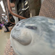 466