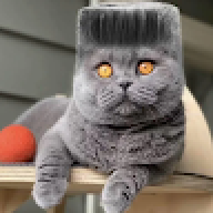 kkonikk