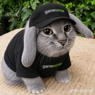 banyyq6