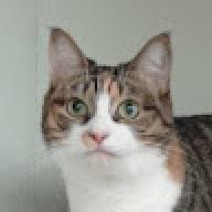 Someer