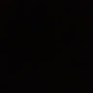 PetaaLOL