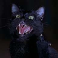 Meows_GOT