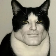 preboot1337
