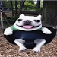 Fermlon300
