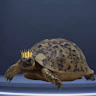 rraito