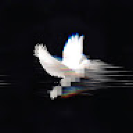 xxviearxx1