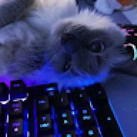 zcxasd