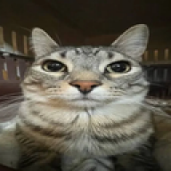 liaq