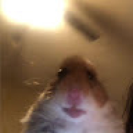 bedo