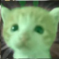 limegirl1942
