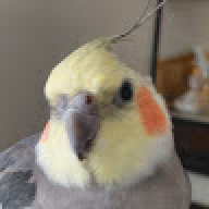 mnbnbn