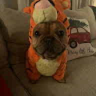 GoonGergo