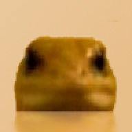 Popsa