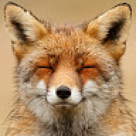 Jawa