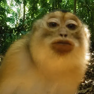ItzSamuel