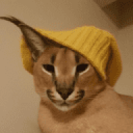 MikkelLmaoo