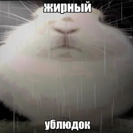 Asqus