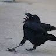 Saance