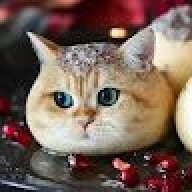 qmlcf
