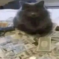 sussyCat