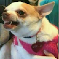 GutoVD